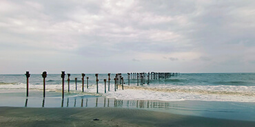 Image Gallery